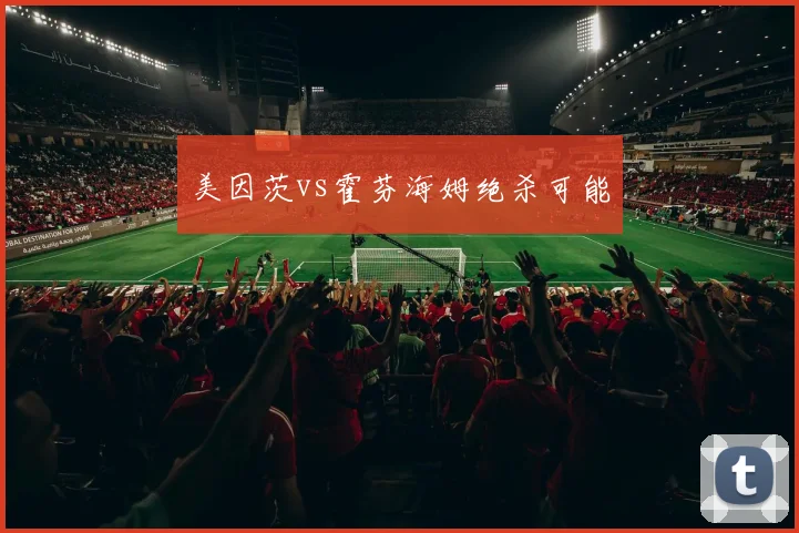 美因茨vs霍芬海姆绝杀可能